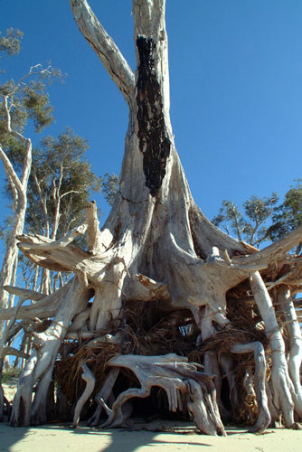 weiter / go on / on continue