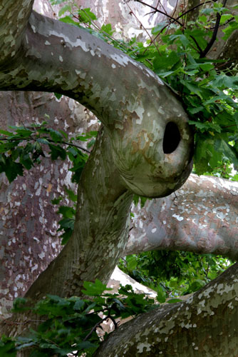 weiter / go on / on continue