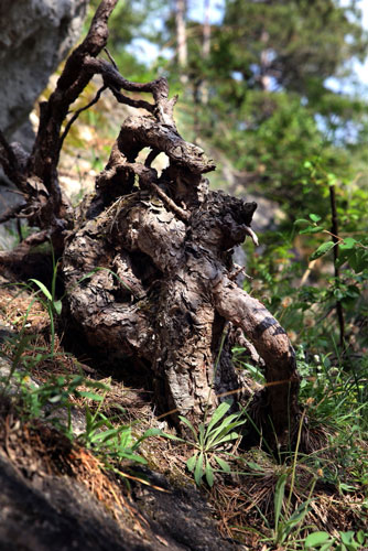 weiter / go on / on continue