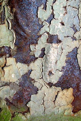 weiter / go on / on continue