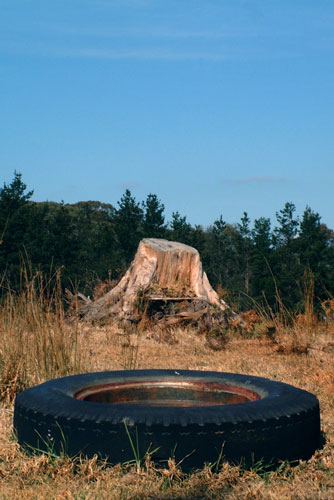 weiter / go on / on continue