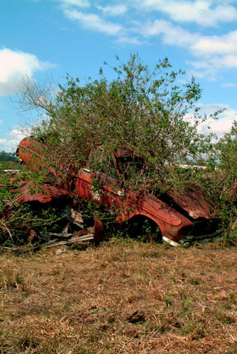 weiter / go on / on continue