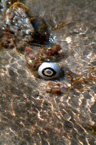 weiter / go on / on continue