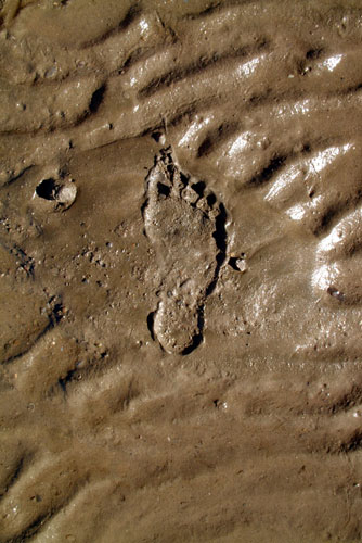 Zur&uuml;ck - Back - En arri&egrave;re: Fotografie - Photographic - Photographie