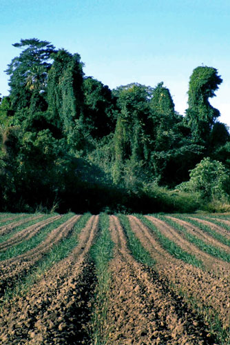 weiter / go on / on continue