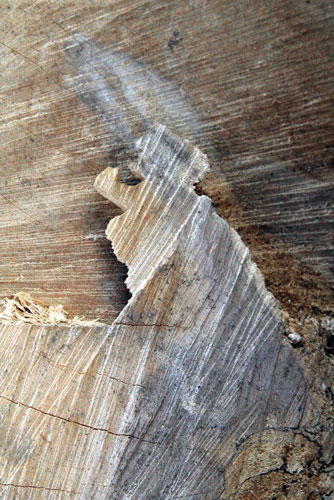 weiter / go on / on continue