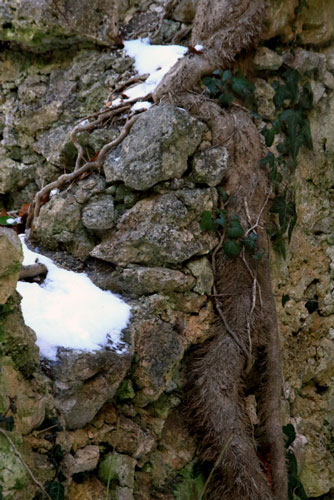 weiter / go on / on continue