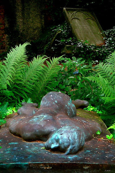 weiter / go on / on continue