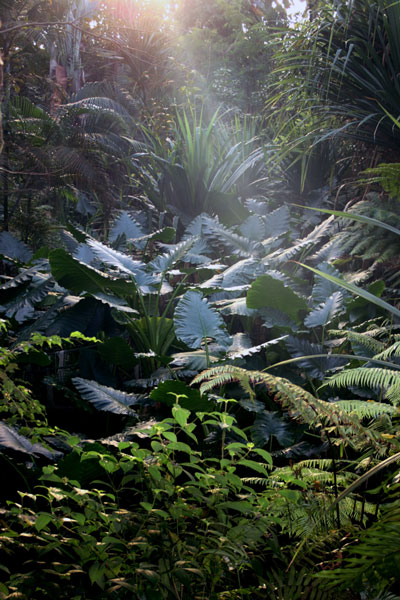 weiter / go on / on continue