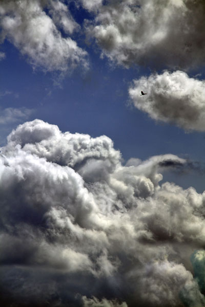 weiter / go on / on continue