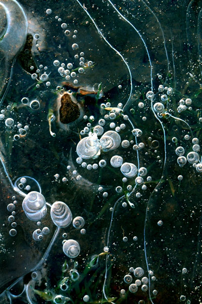 weiter / go on / on continue