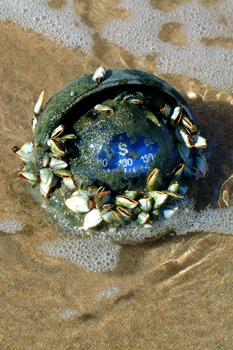 weiter / go on / on continue