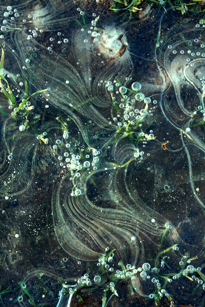 weiter / go on / on continue