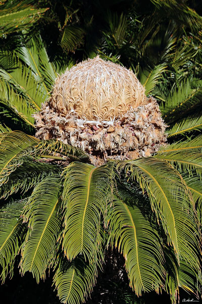 weiter / go on / on continue