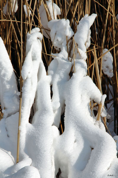 weiter / go on / on continue