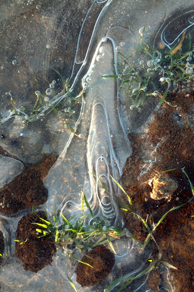 weiter / go on / on continue