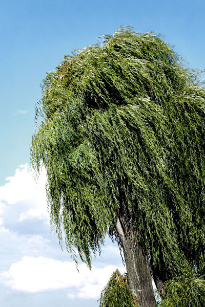 weiter / go on / on continue