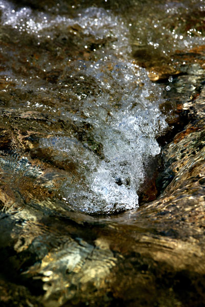 Zur&uuml;ck - Back - En arri&egrave;re: Fotografie - Photographic - Photographie