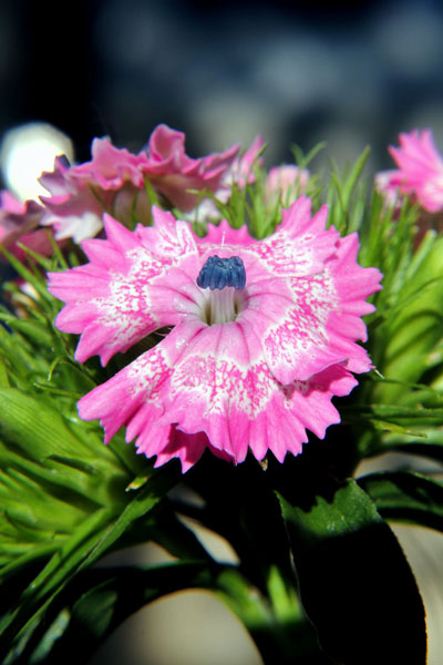 weiter / go on / on continue