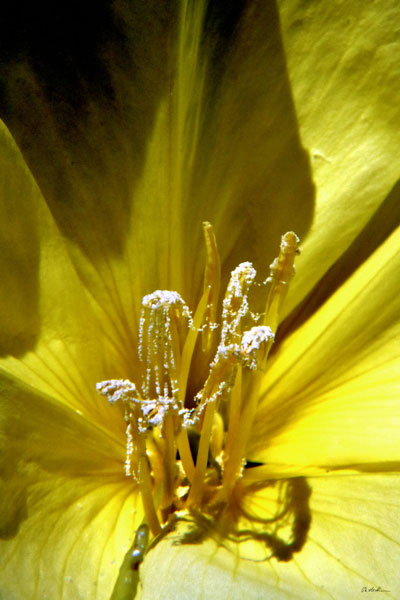 weiter / go on / on continue