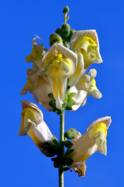 weiter / go on / on continue