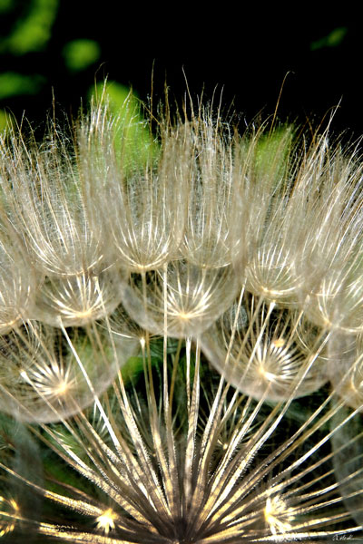 weiter / go on / on continue