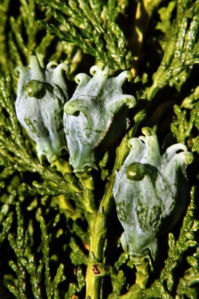 weiter / go on / on continue